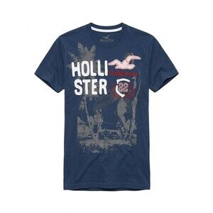 Unisex L Hollister California Navy Blue Graphic Tee Puff Print Seagull Logo Y2K